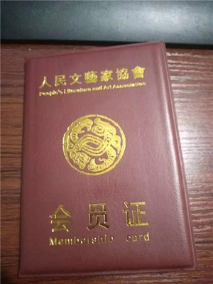 筆墨間的赤子心——記人民文藝家協會會員陳品清的文藝創作之路
